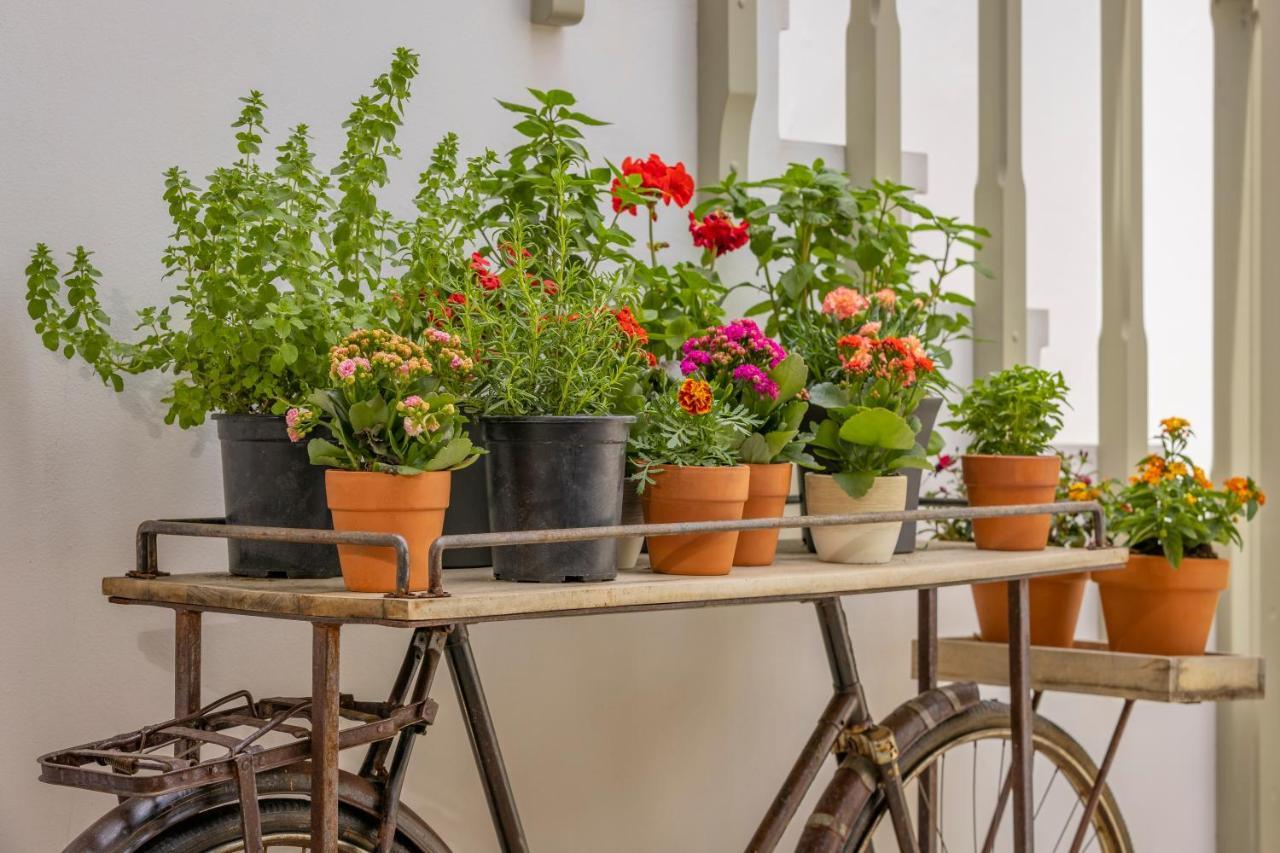 Amarada City Suites Rhodes City Esterno foto